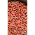 China Ningxia Organic Goji Berry Bulk Sell Gojiberry and Wolfberry